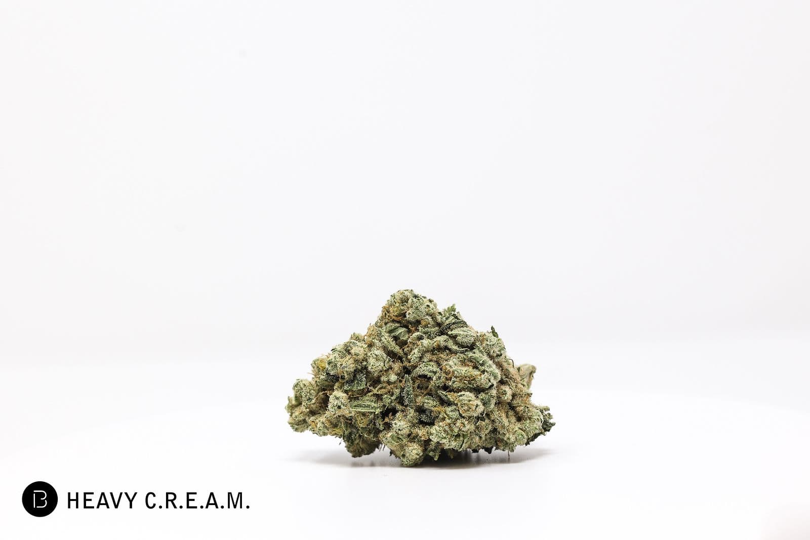 Heavy Cream Flower
