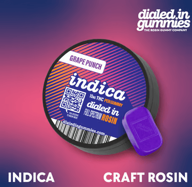 Dialed In - Rosin Gummies - Grape Punch (I) 100mg