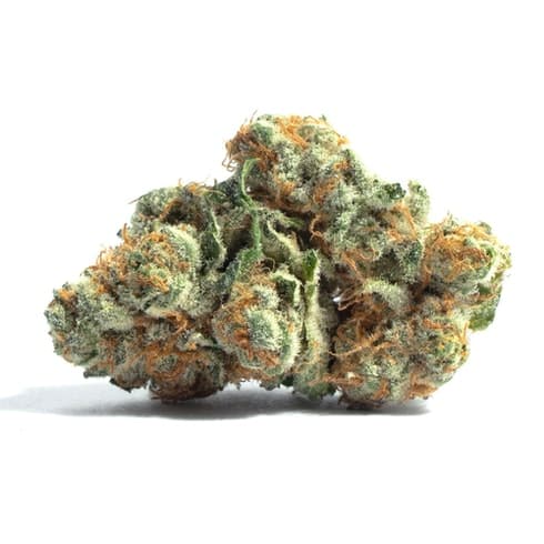 Buds Cherry Slimeade