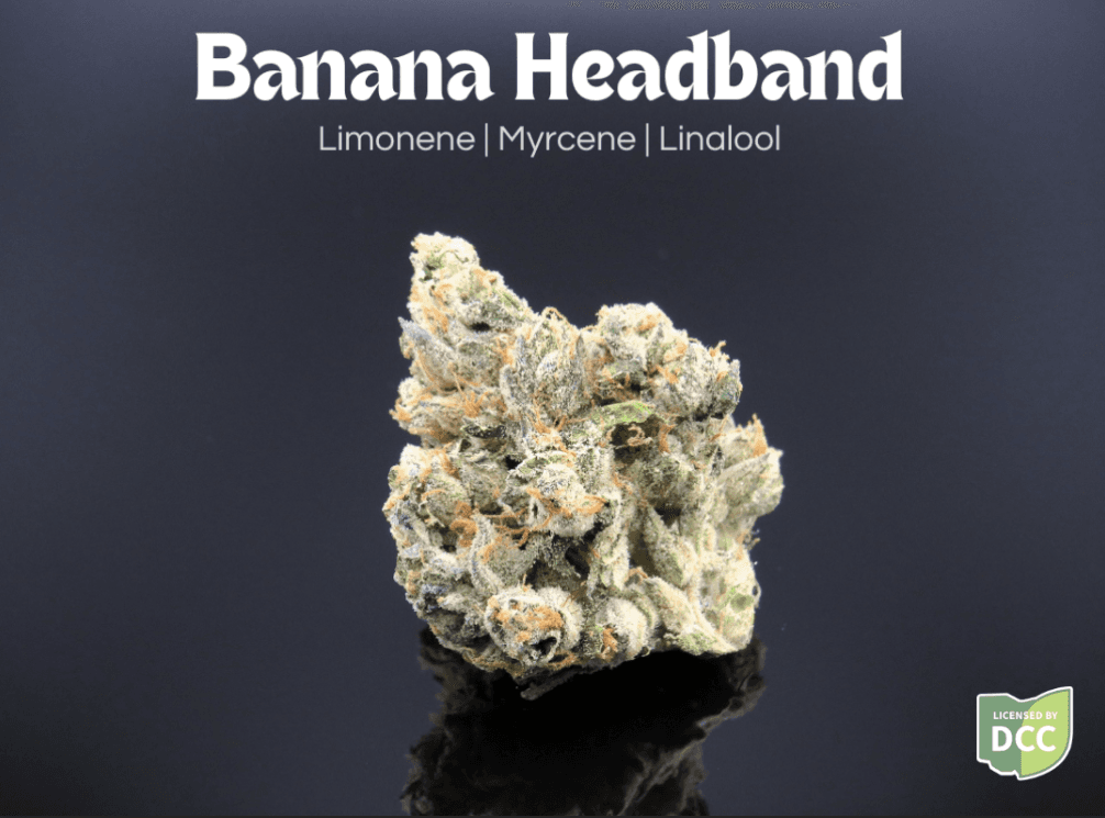 Banana Headband | 2.83g Bigs