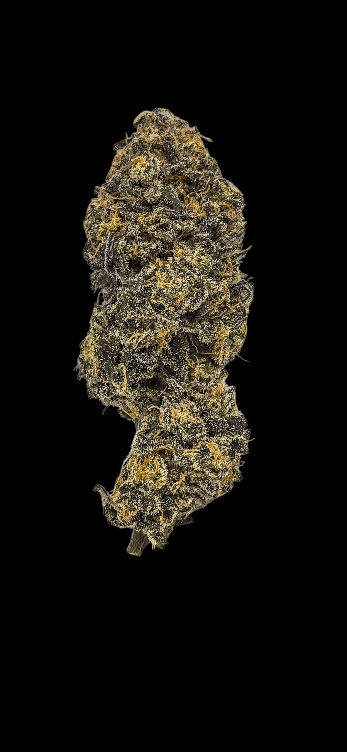 Nebula No