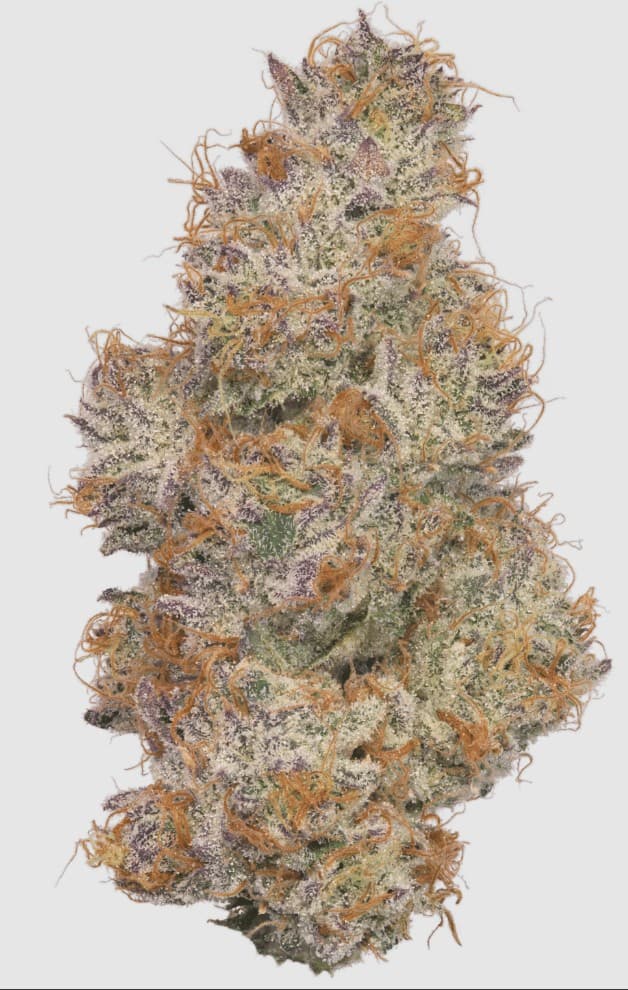Scotty 2 Hot Whole Flower 2.83g