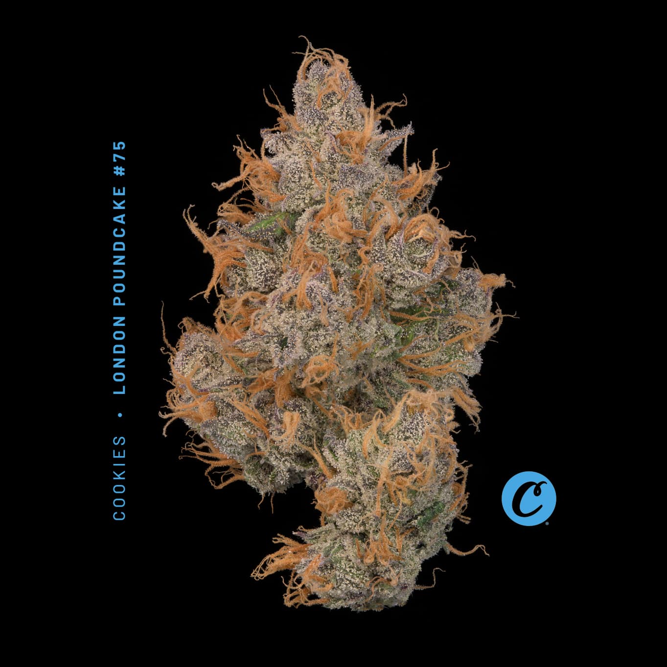 Cookies: London Pound Cake 75 - 14.15g