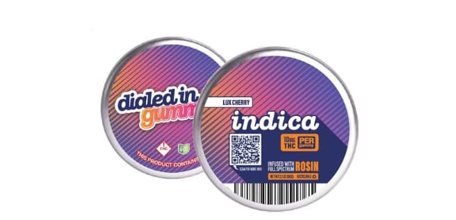 Gummies | Live Rosin | Zeld-J | 100mg