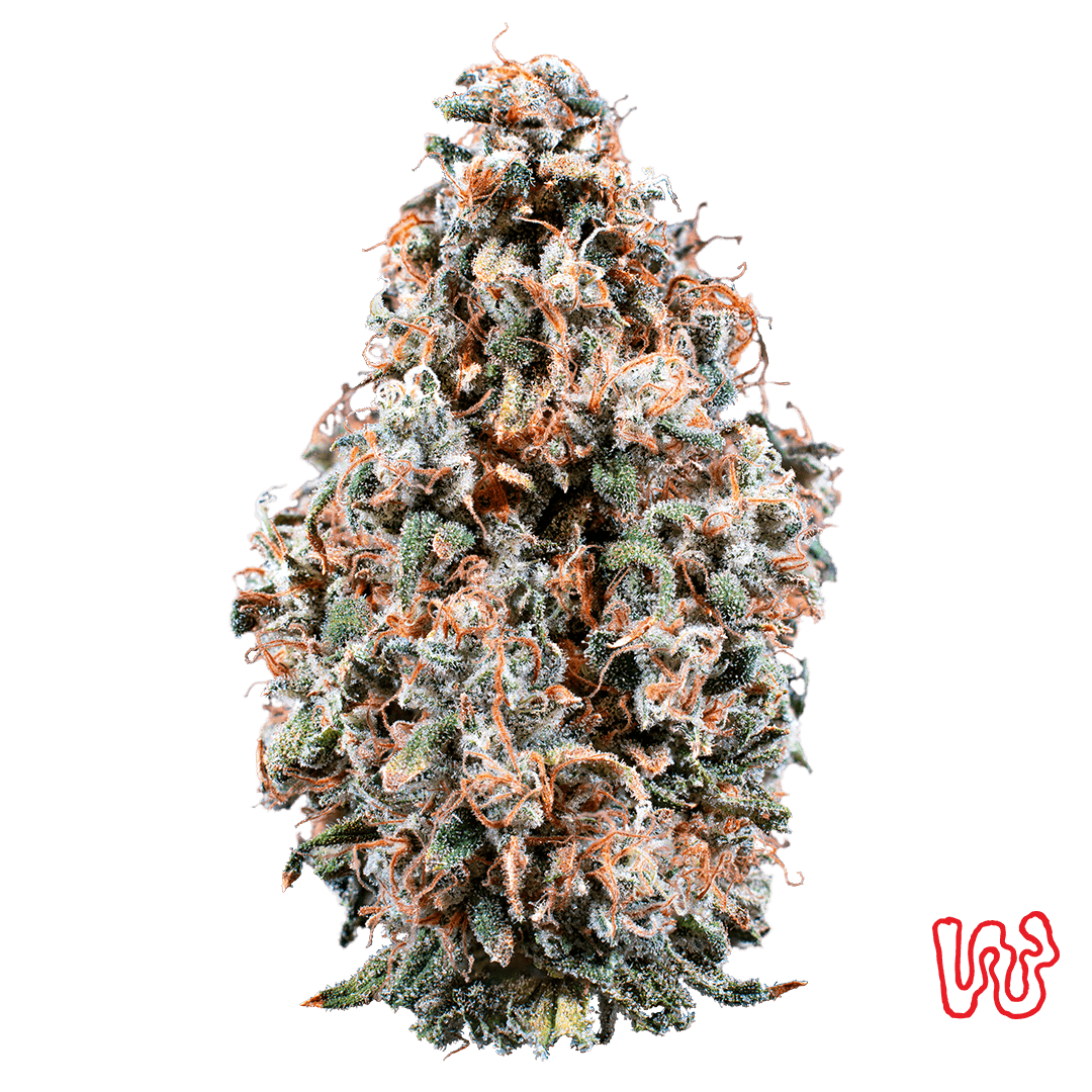 Fire Rock - Cherry Jungle - 5.66g