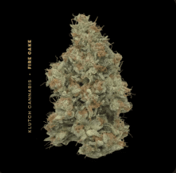 Fire Cake 2.83g (H)