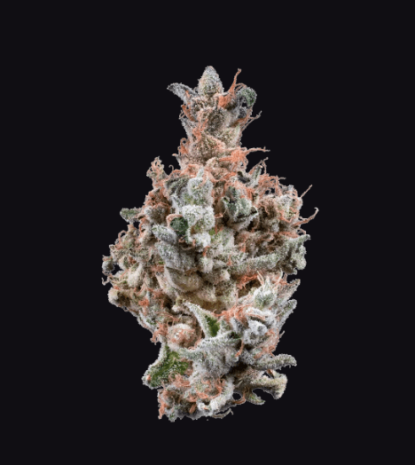Mushroom Cake | 5.66g