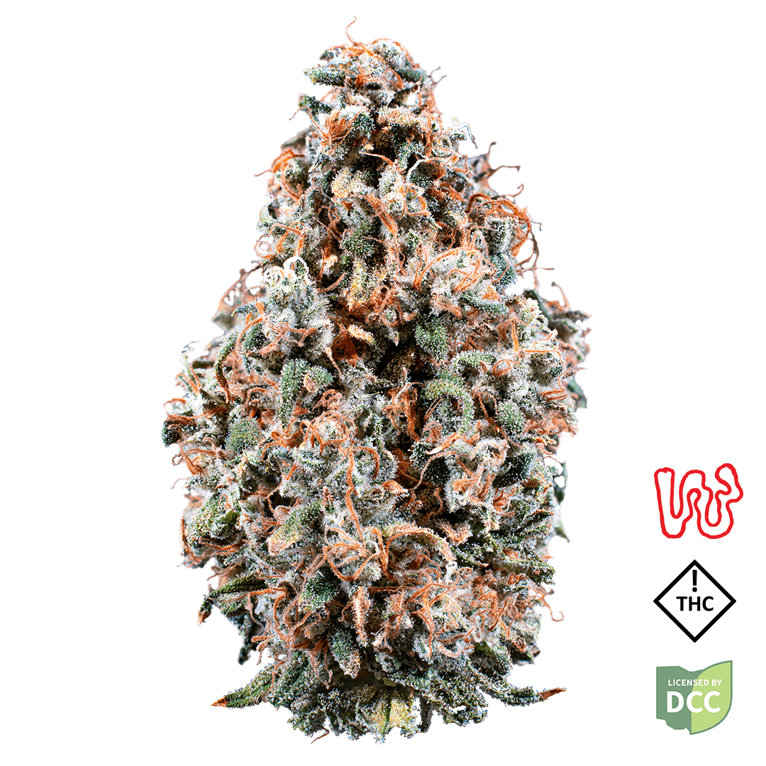 5.66g | Cherry Jungle