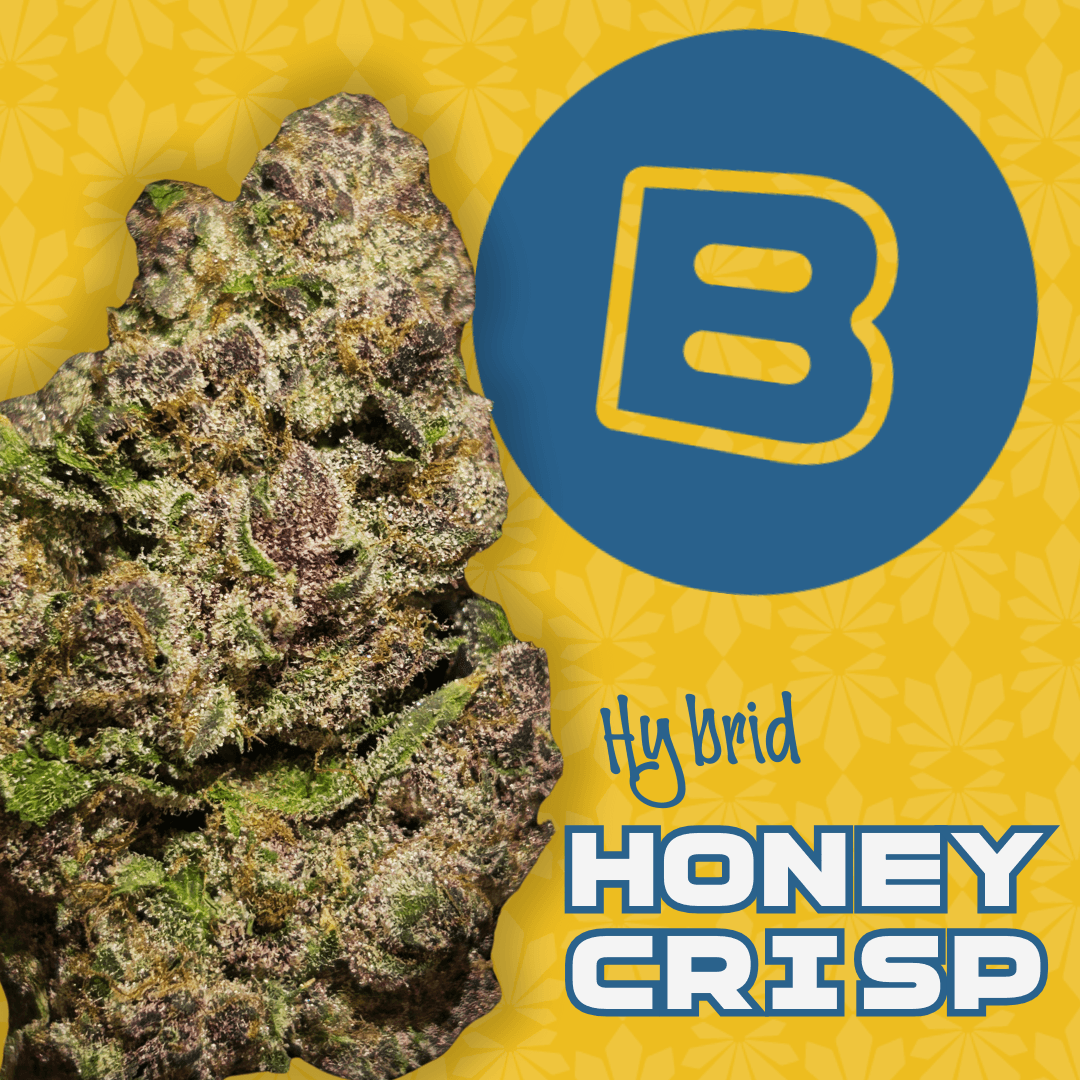 Honey Crisp