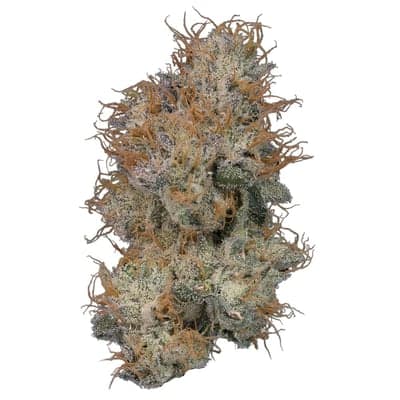 Zoap | 14.15g