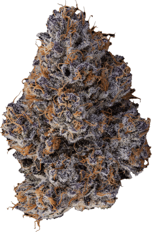 SherbHead | 2.83g