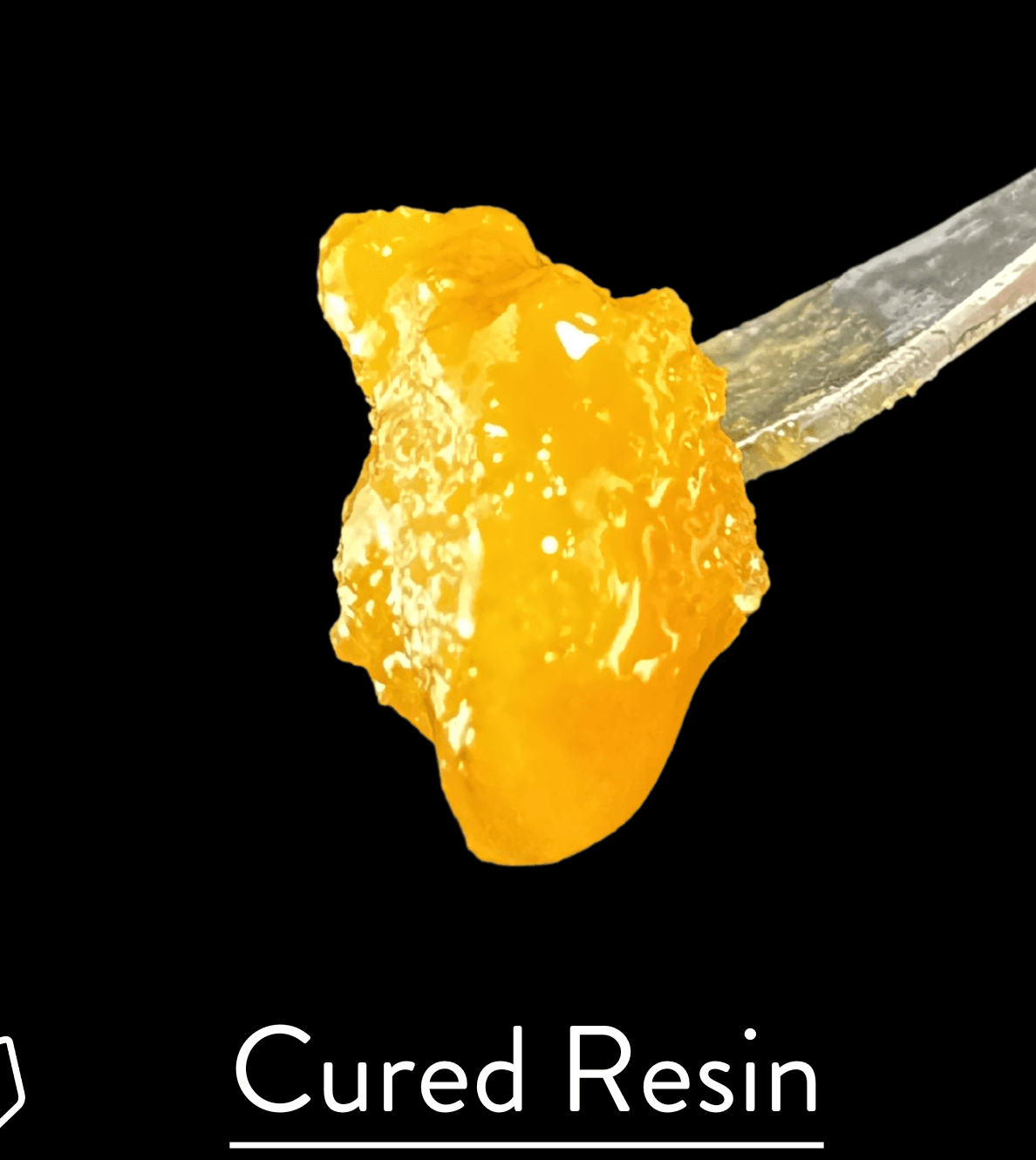 Grape Fritter Live Resin