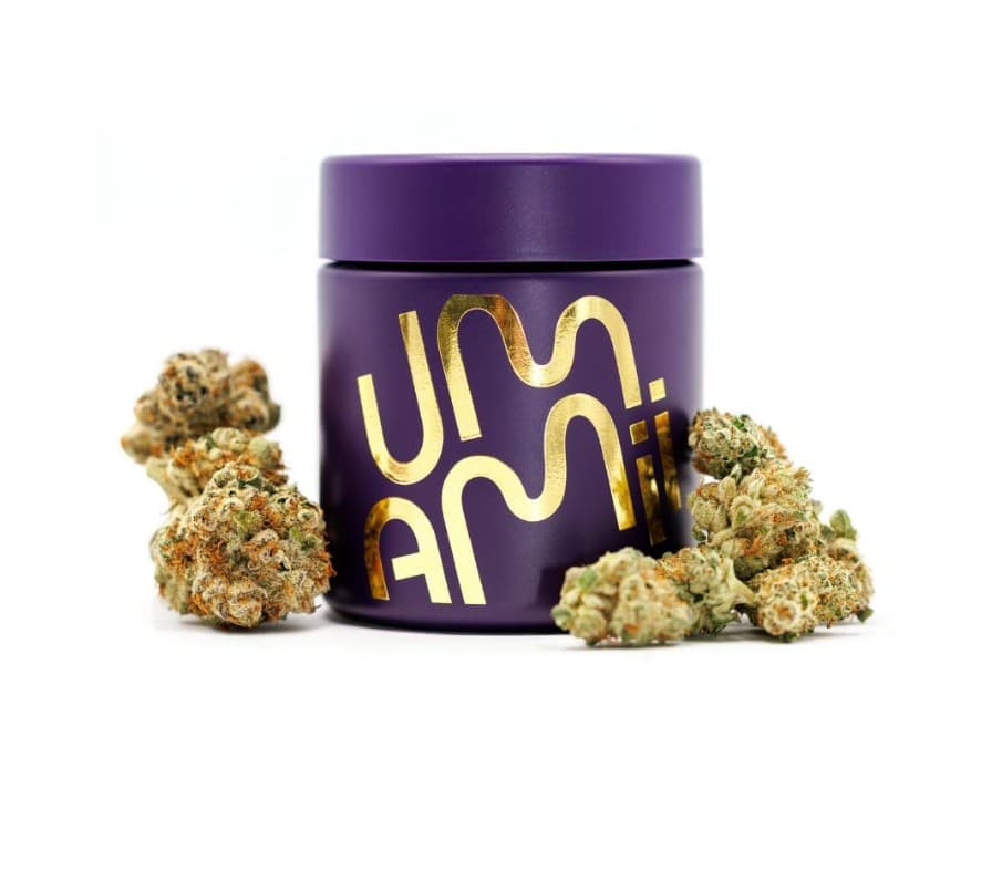 Flower Gmo
