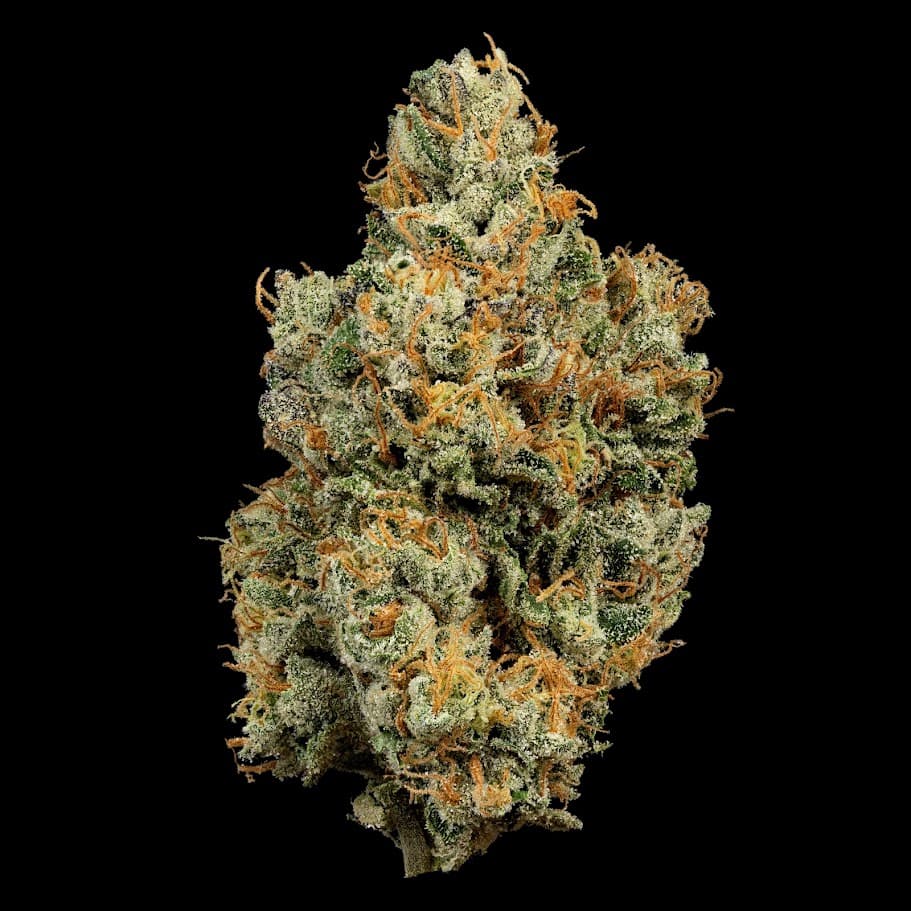 Amafi Coast Preroll