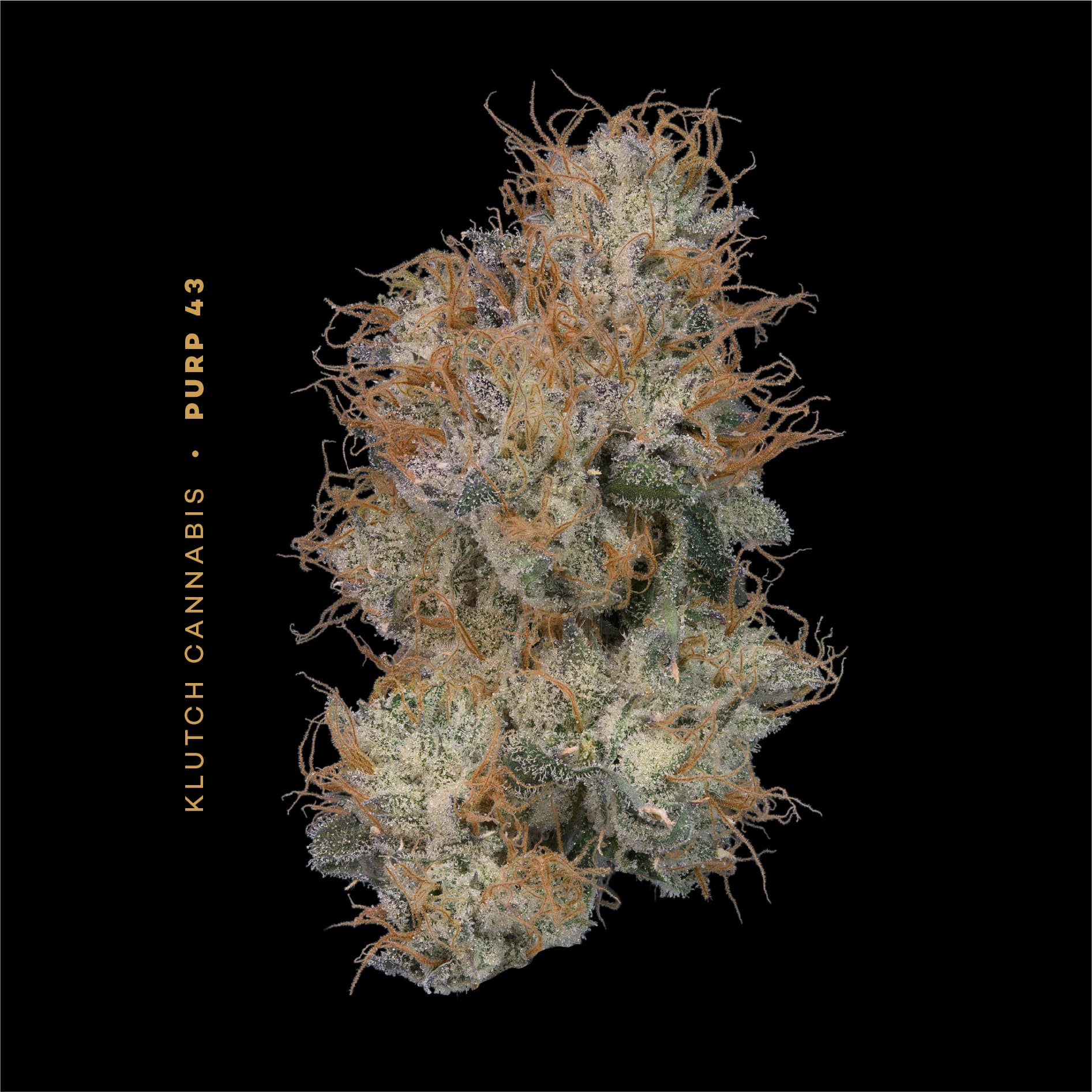Zoap | Flower 14.15g