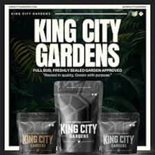King City: The Button - Gold 2.83g