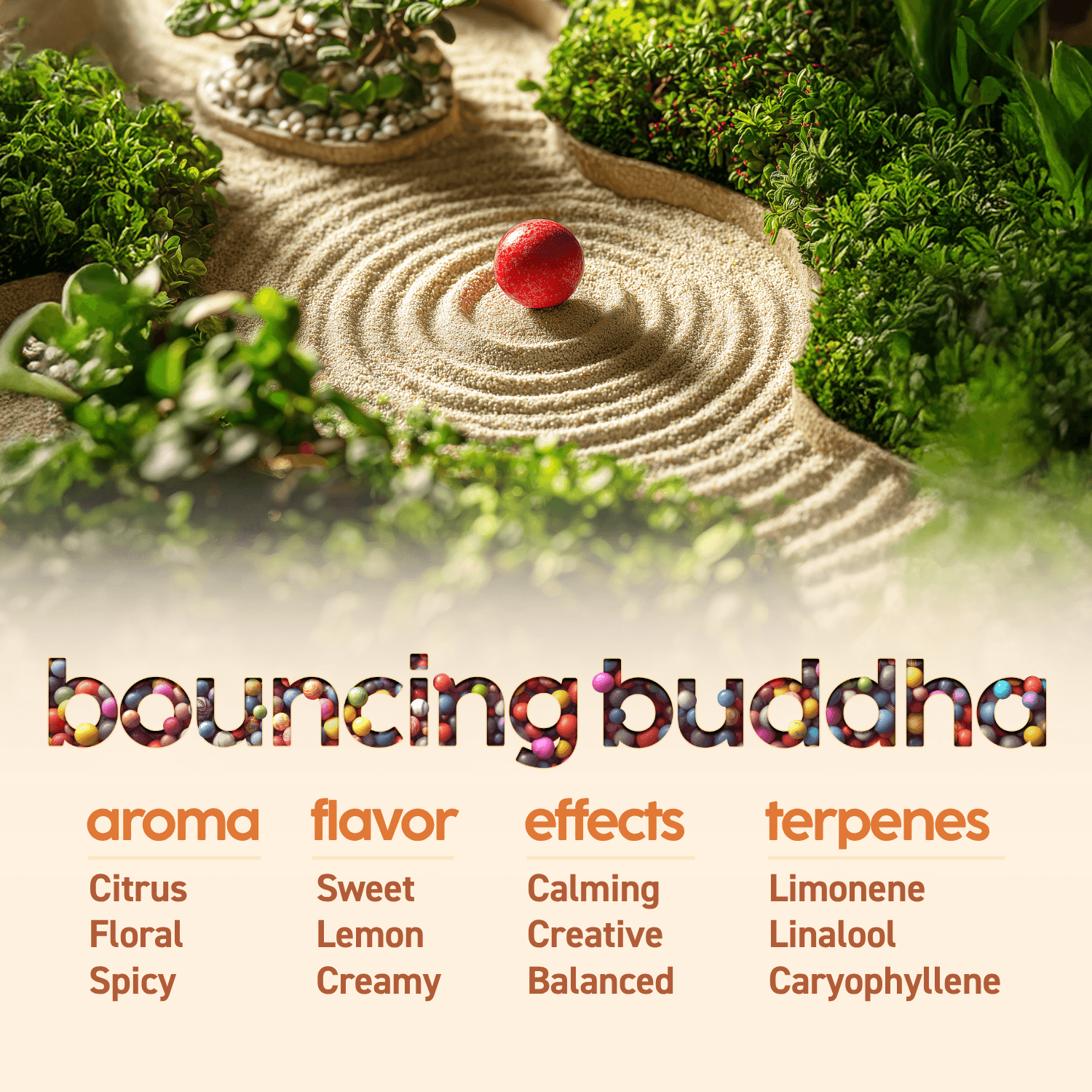 Bouncing Buddha Flower