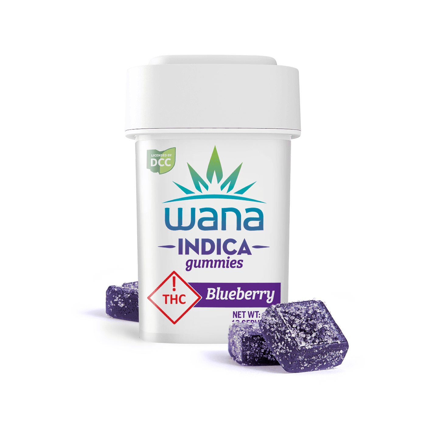 Blueberry | 10pk 110mg Sour Gummies