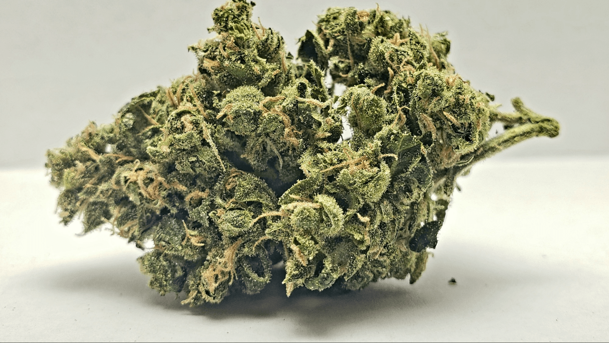 Acapulco Gold