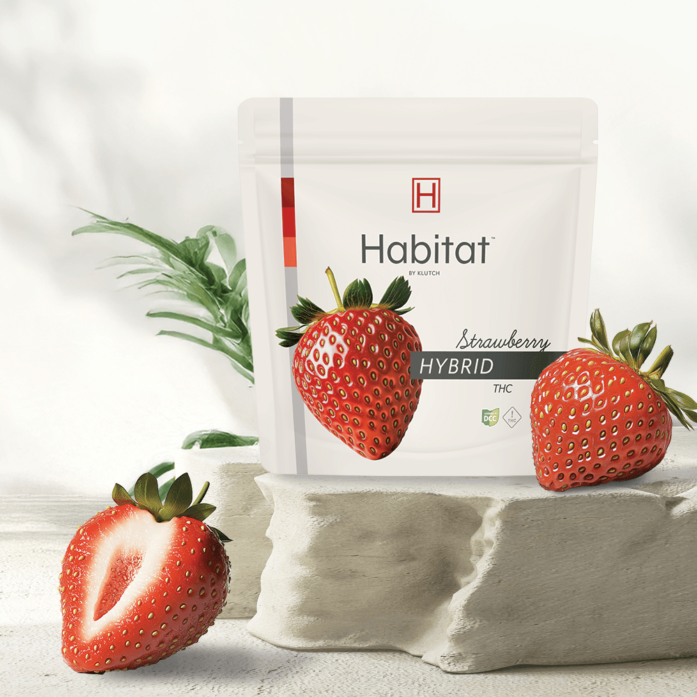 Strawberry Low Dose Gummy | H | 100mg | 20pk