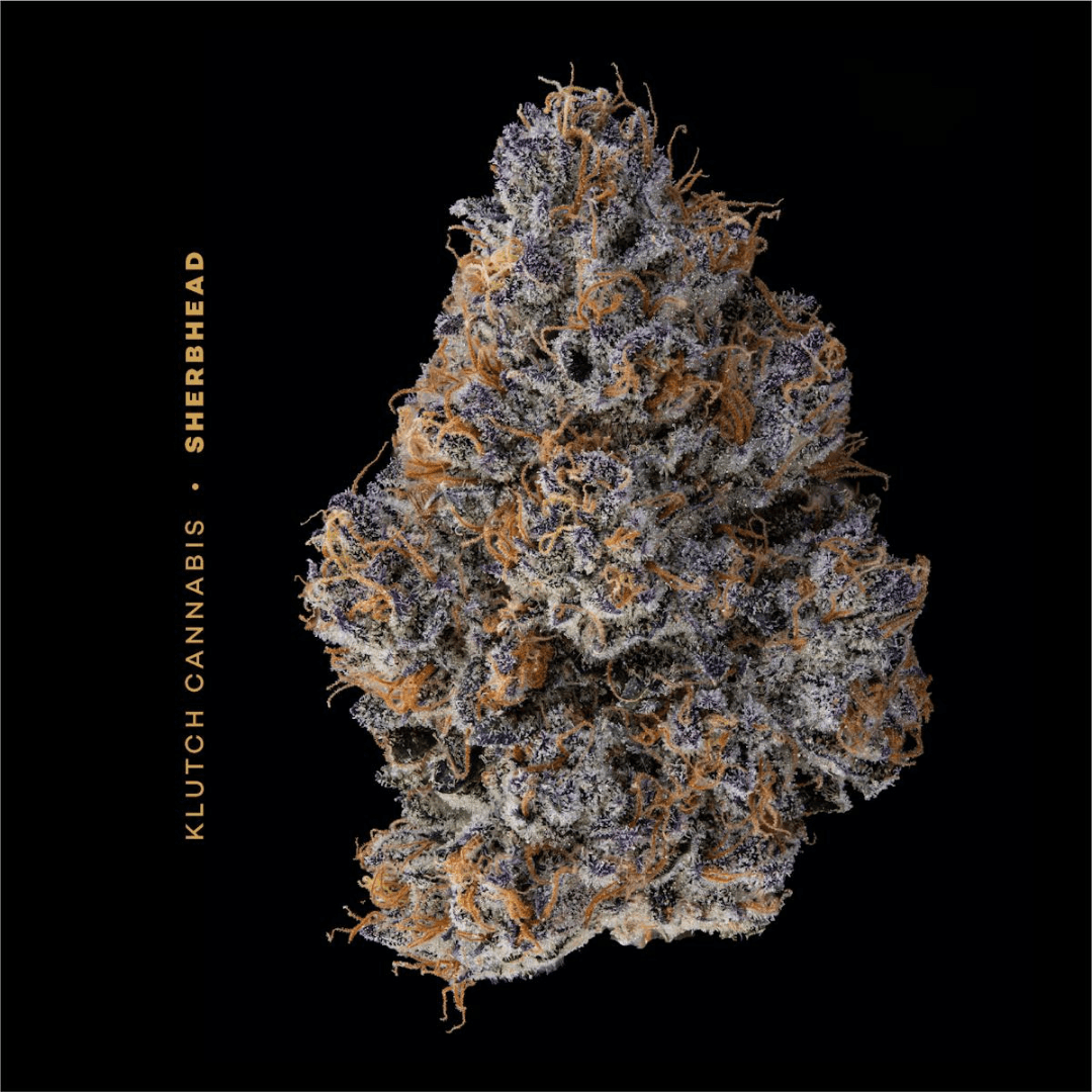 SherbHead | 3.54g Premium