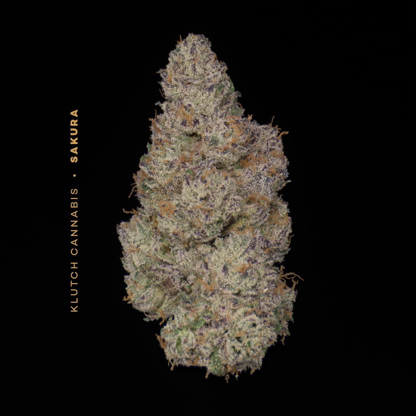 Sakura - 14.15g Whole Flower