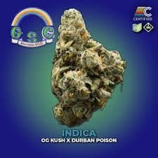 Forum GSC - 2.83g