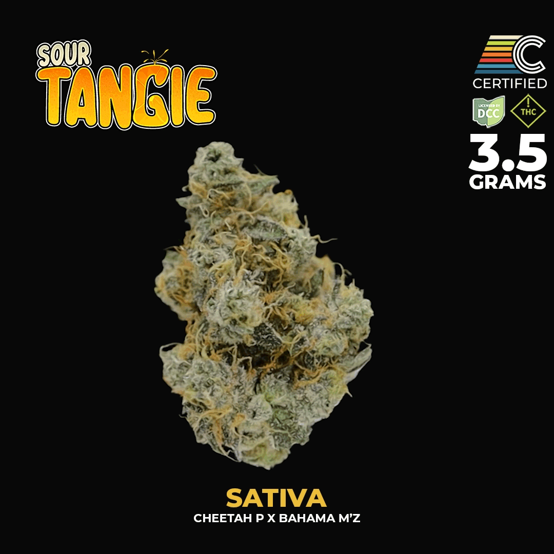Sour Tangie | 3.5g Bigs