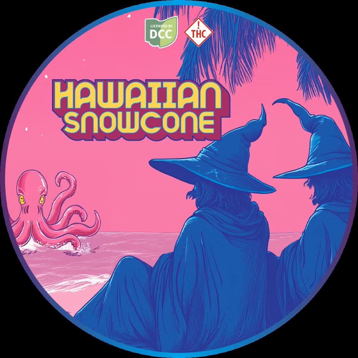 Hawaiian Snow Cone Artifact