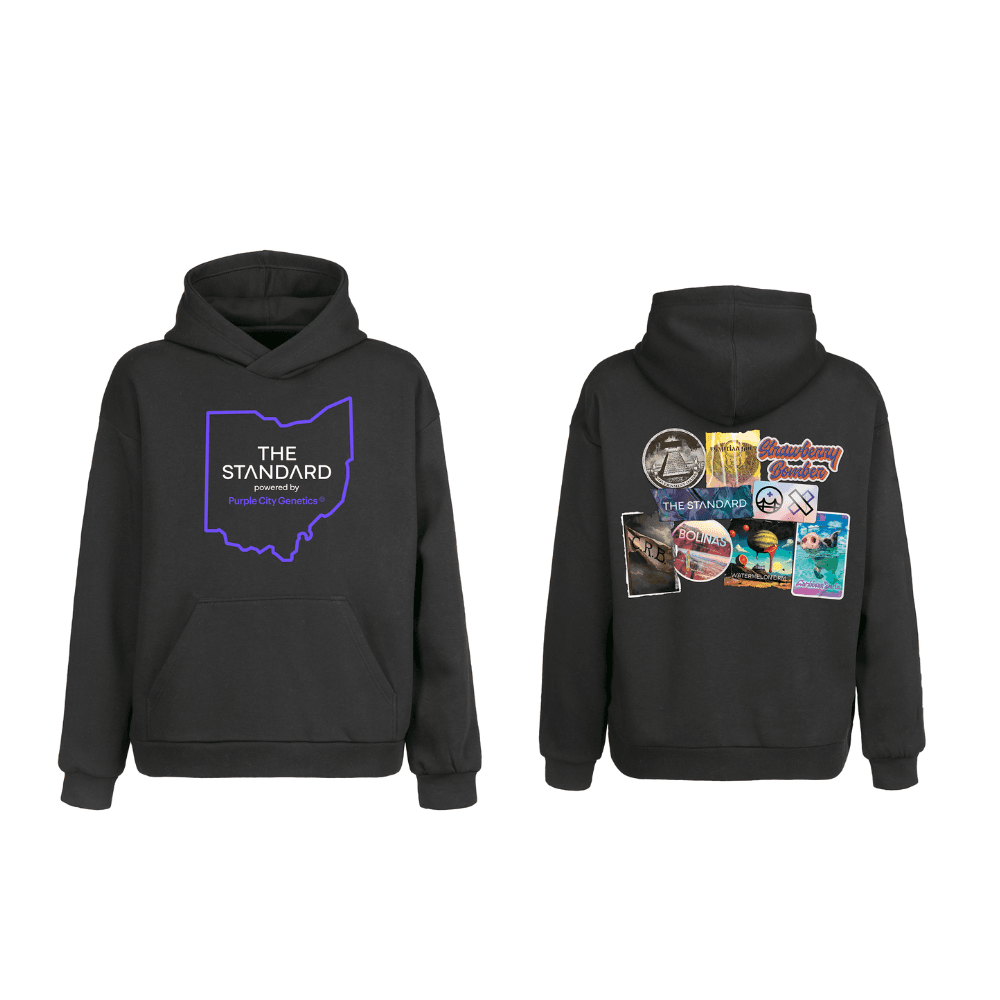 Standard Wellness Hoodie | Small