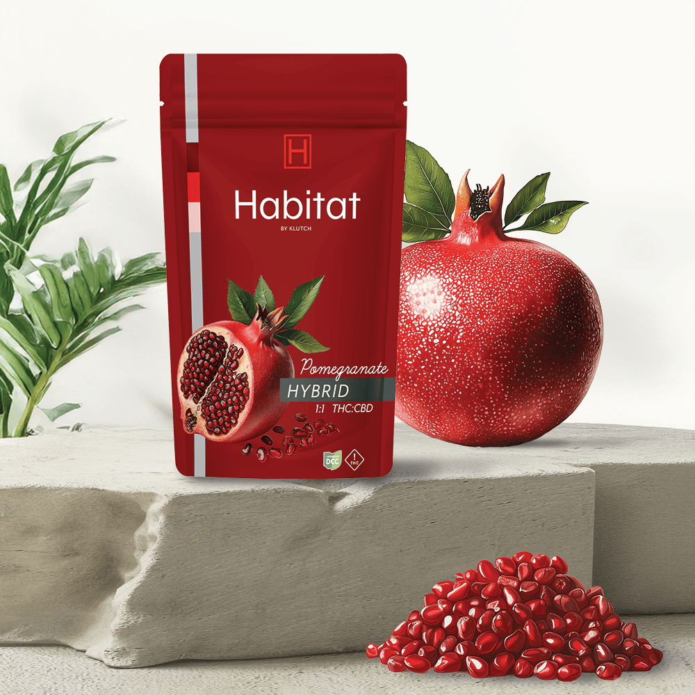| Pomegranate 1: o Pack Hybrid Gummies |