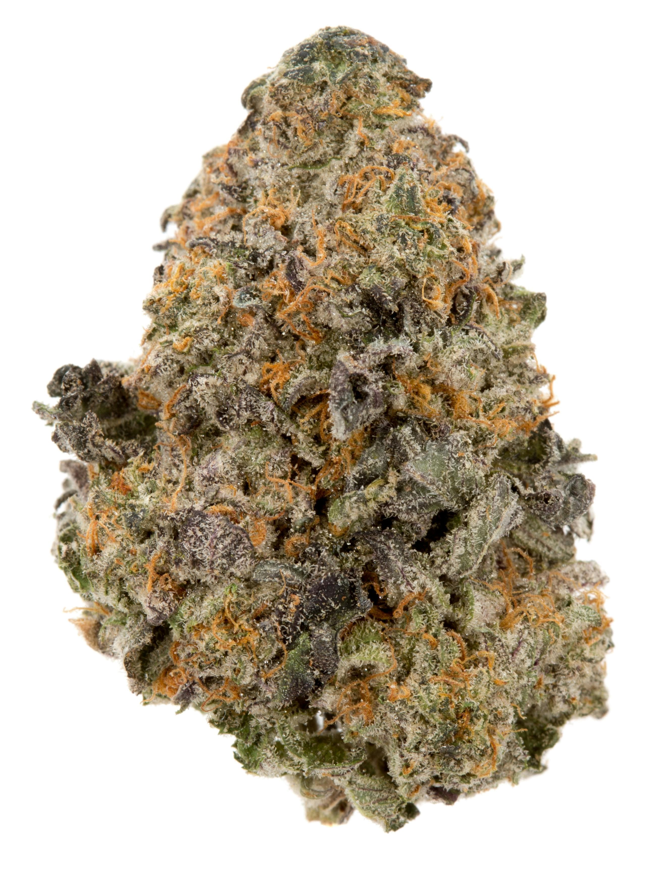 Gelato $150 Bag
