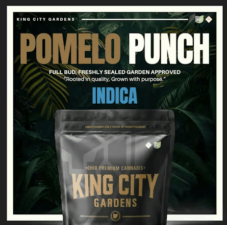 King City Gardens - Gold - Pomelo Punch (I) - 3.5g