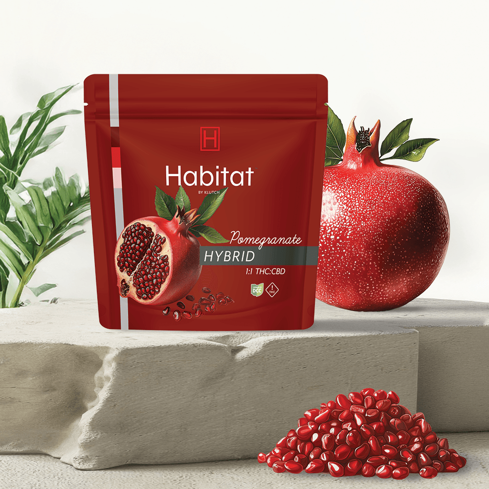 Pomegranate Low Dose Gummy | H | 100mg | 20pk
