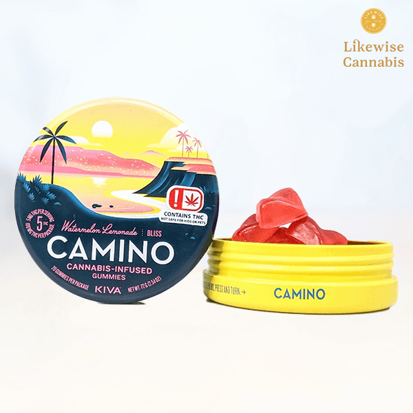 Watermelon Lemonade