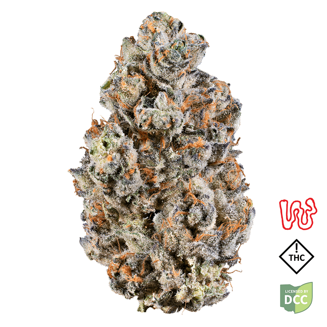 Lemon Cherry Sherbert Smalls