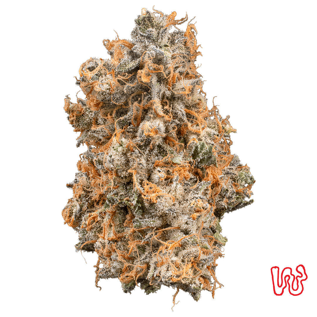 GrapeHead | 5.66g Premium