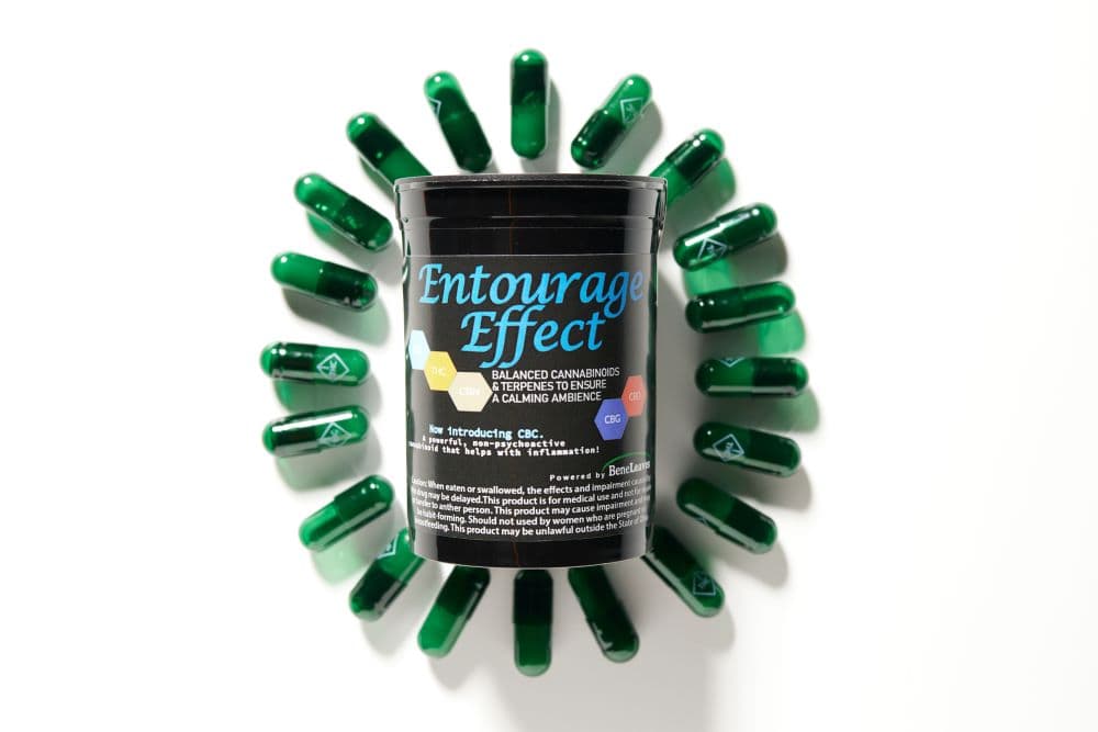 Capsules - Entourage (H) (22pk) 220mg