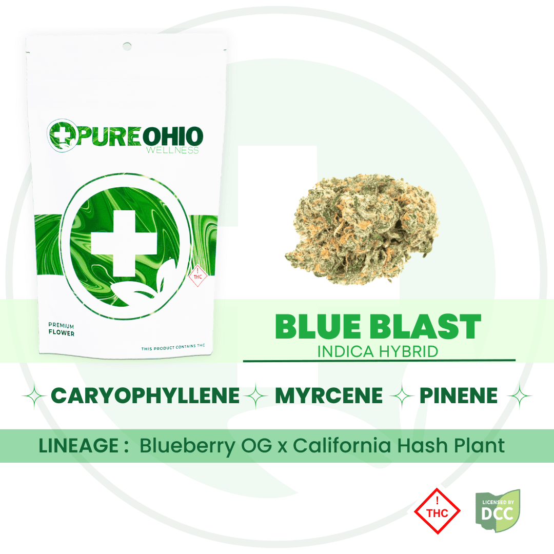 Blue Blast (Indica Hybrid) - 14.15g - POW