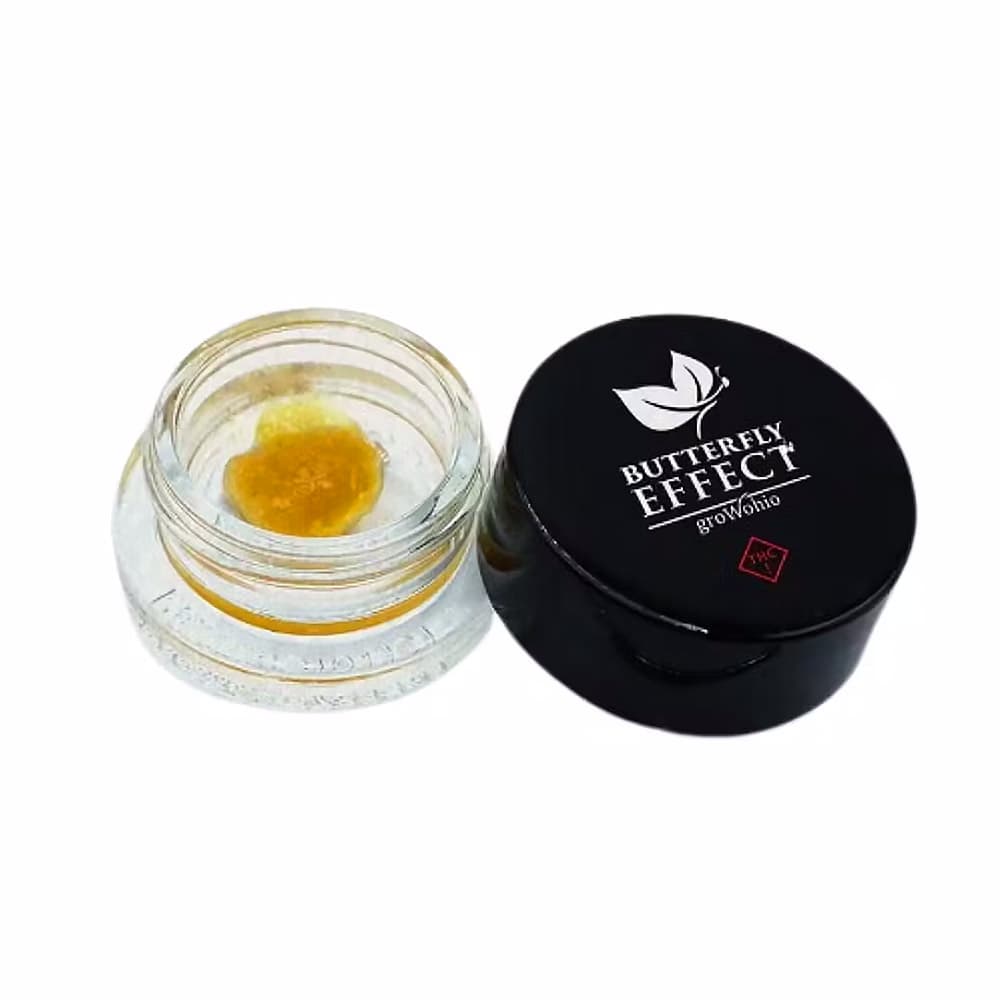 Live Sugar Notorious [1.7g]
