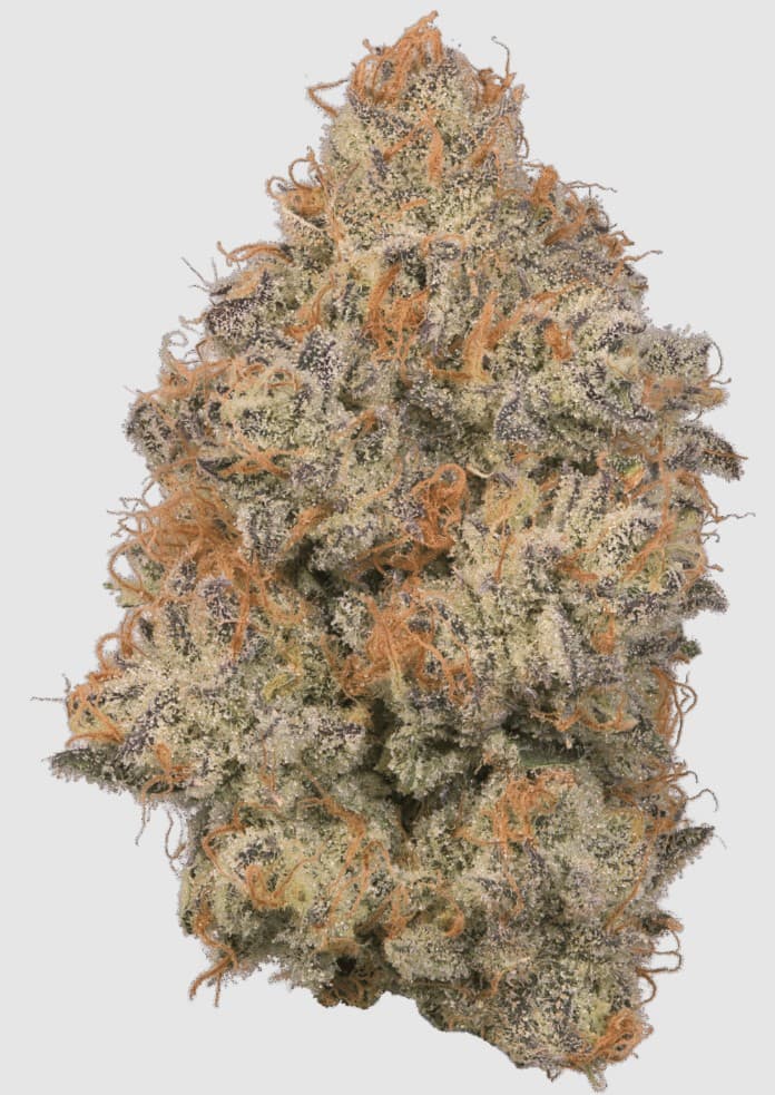 Sakura Whole Flower 2.83g