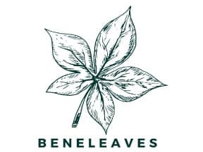 Beneleaves Hypnos 1:1 THC:CBN 22pk 220mg Capsules