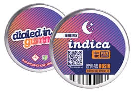 Dialed In: Blueberry - Rosin Gummies 10pk 100mg