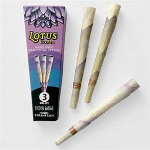 Cones King Size 3pk