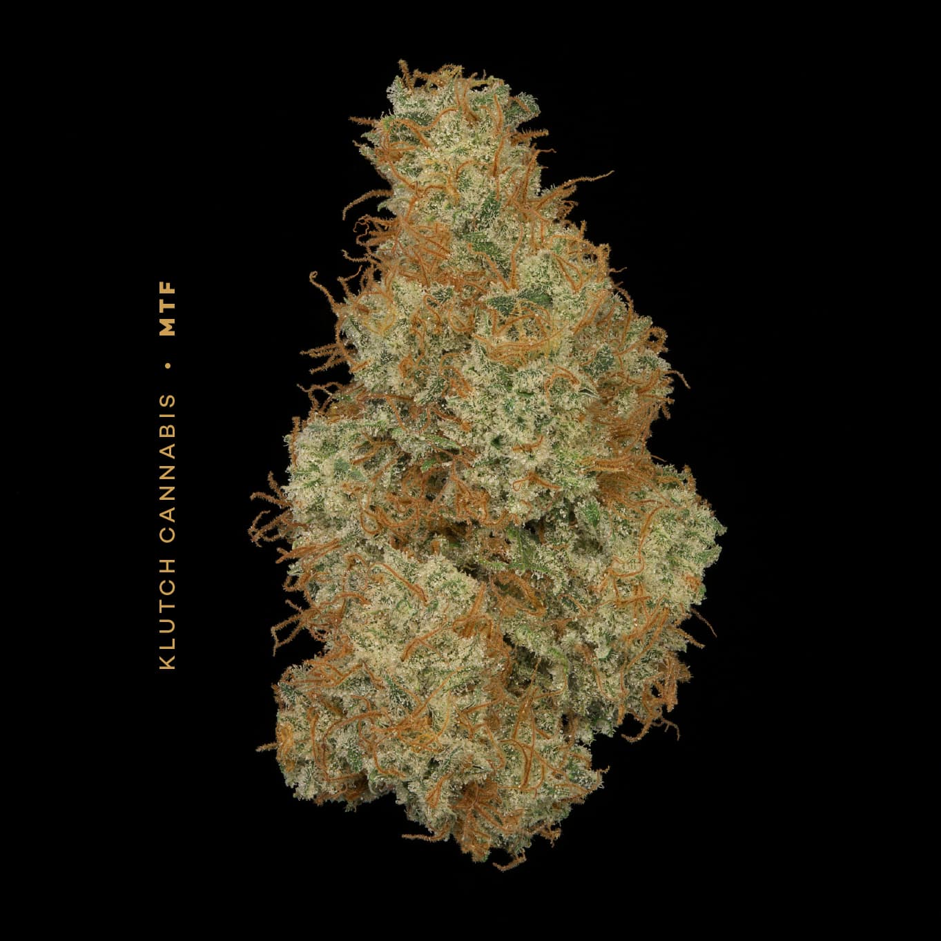 MTF (Buds) | 2.83g | Hybrid