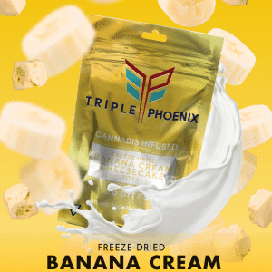 Dried Bites Banana Cream Cheesecake