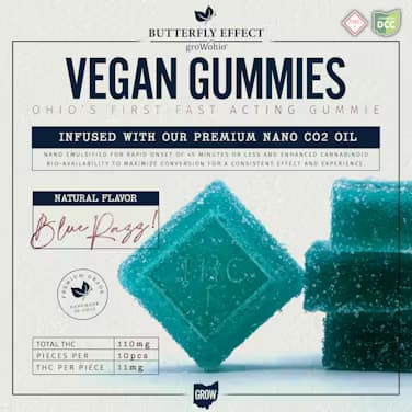 Blue Razz Vegan Gummies 220mg (Hybrid) | Butterfly Effect