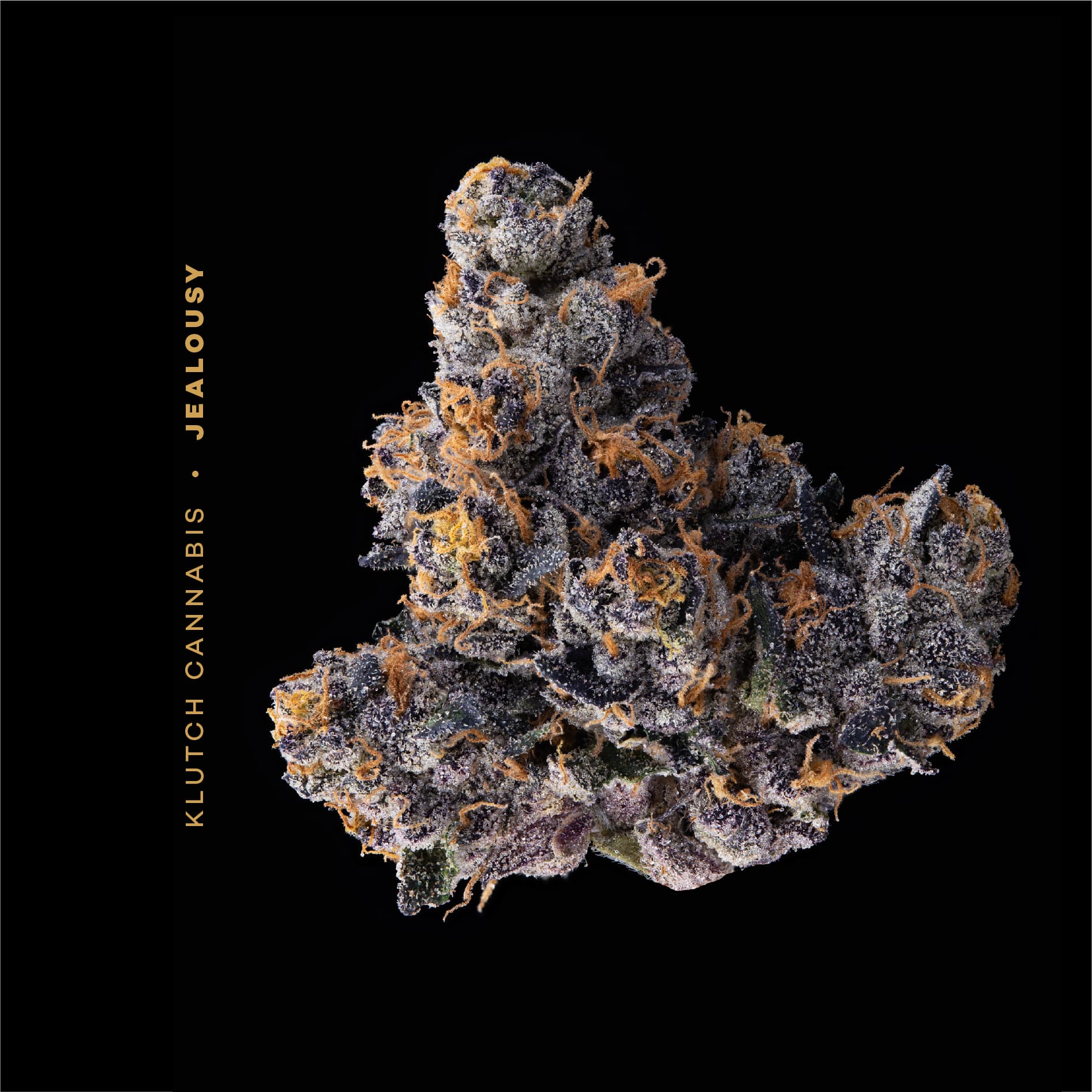 Jealousy | Flower 2.83g