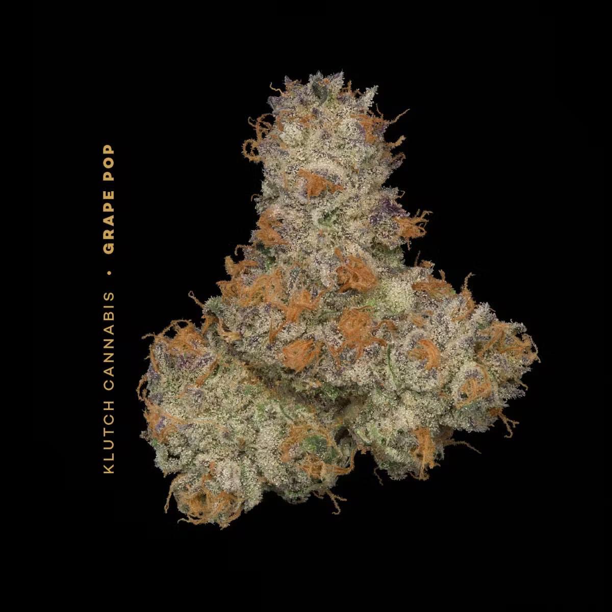 Grape Pop | Flower 14.15g