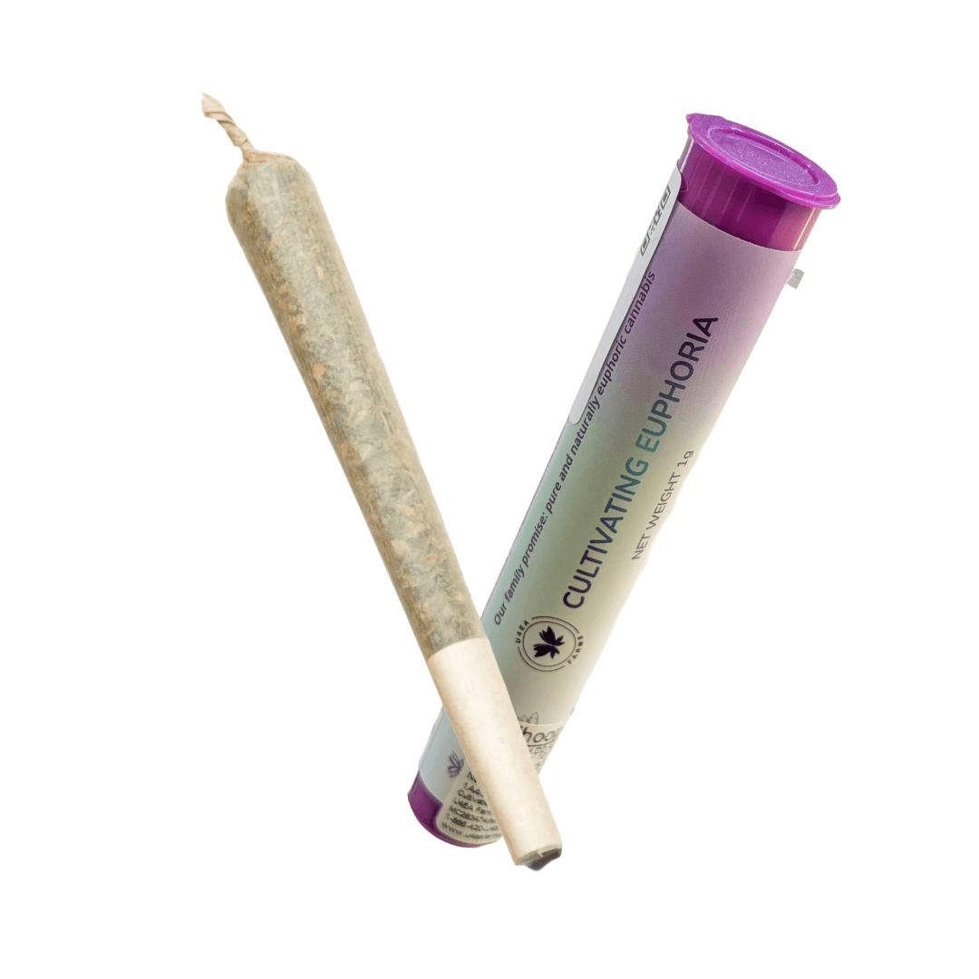 Bikes? Bubble Hash Infused Pre
